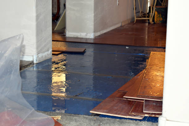Professional Flood Damage Repair technician working in Riverdale, MI